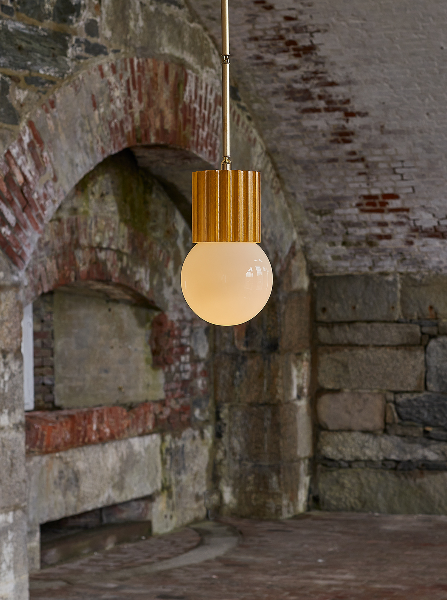 Aster Pendant Globe