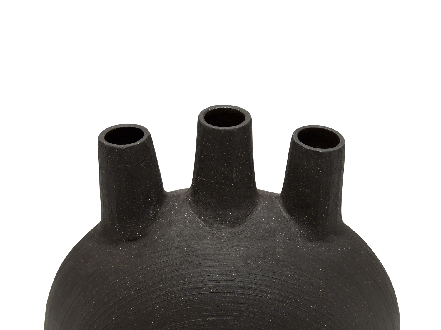 Minotaur.3 Vessel